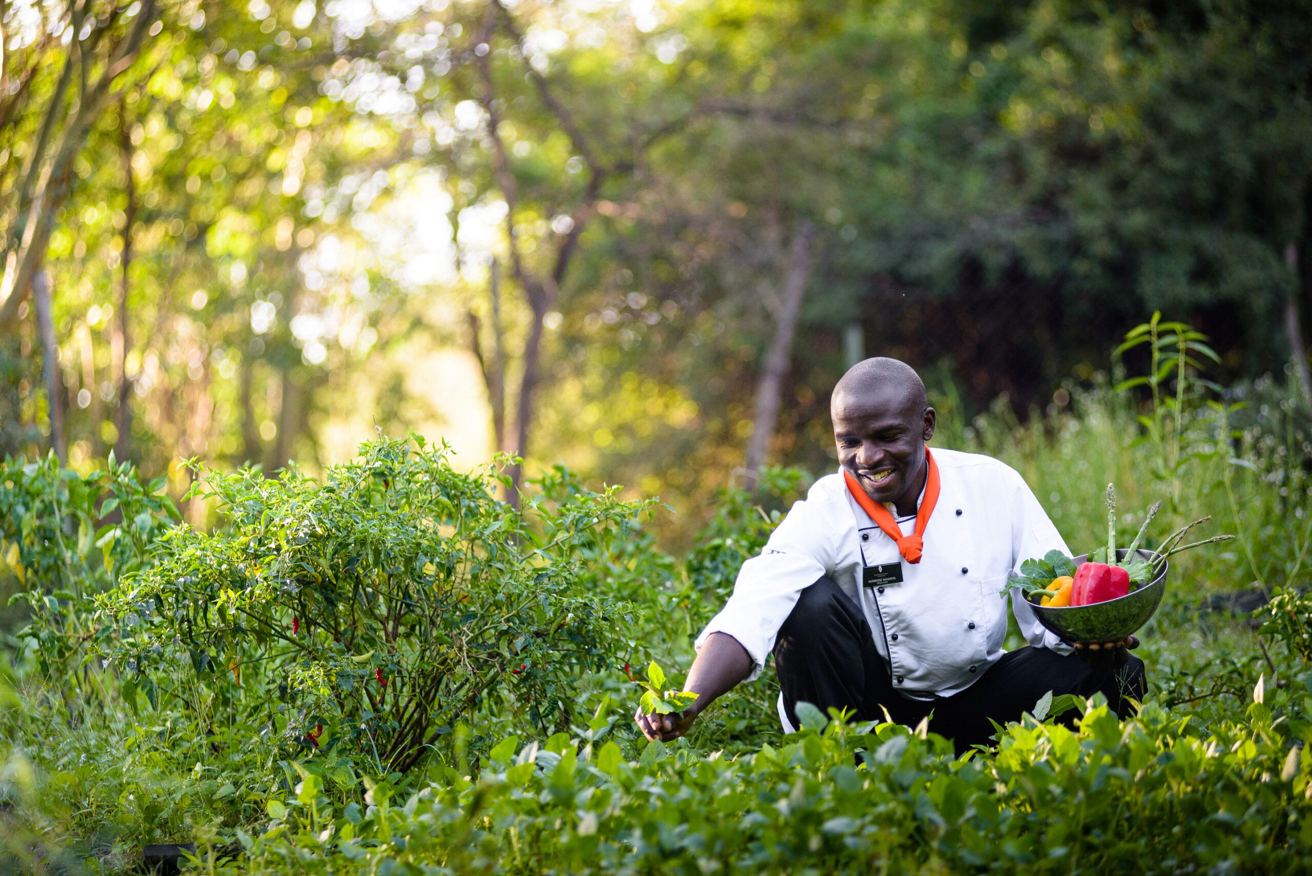 Flavors of the Forest: How We Create Your Favorite Dishes at Emirambi”