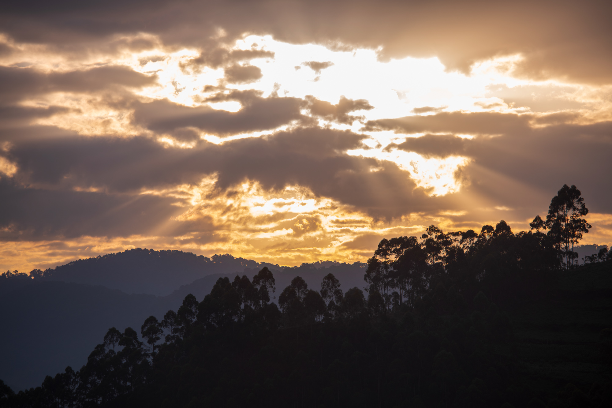 _D851641 copy
